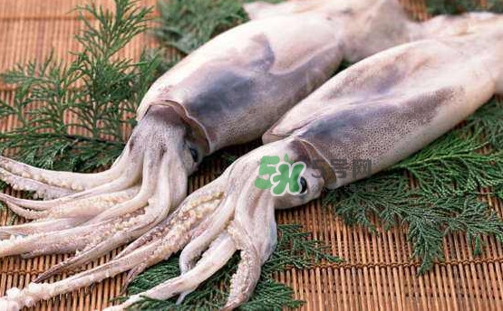 魷魚和雞蛋可以同時食用？魷魚不能和什么一起吃