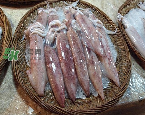 新鮮魷魚怎么保存？魷魚可以冷凍嗎