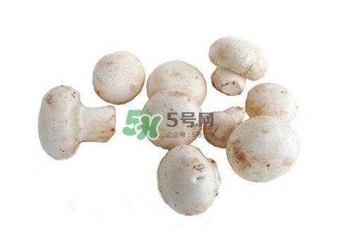 口蘑是什么蘑菇？口蘑長(zhǎng)什么樣子？