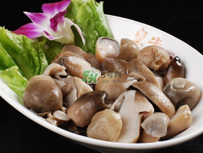 草菇孕婦能吃嗎？草菇要煮多久可以吃？