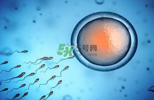 精子在女性體內可以存活多久？男性的精子會枯竭嗎？