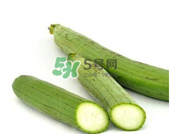 秋天吃絲瓜掉頭發(fā)嗎？秋天吃絲瓜愛掉頭發(fā)是真的嗎？