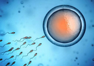 精子在女性體內可以存活多久？男性的精子會枯竭嗎？