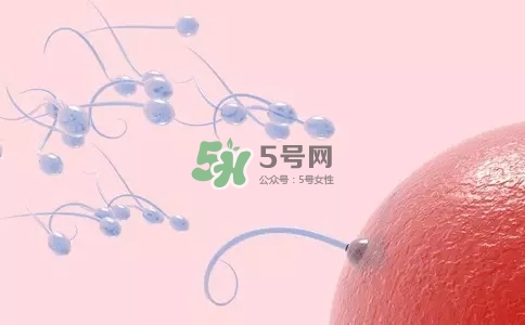 精子在女性體內可以存活多久？男性的精子會枯竭嗎？
