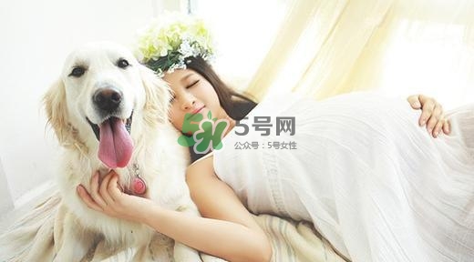 孕婦不能養寵物嗎？為什么孕婦不能養寵物？