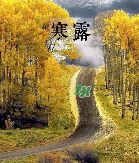 白露是寒露嗎？白露和寒露的區別