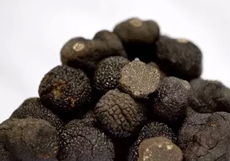 世界最大的松露是在哪個國家發現的？松露怎么吃