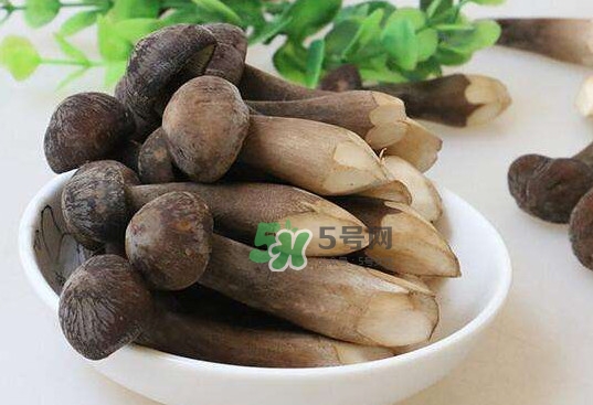 雞樅菌和松茸哪個更好？雞樅菌有什么營養