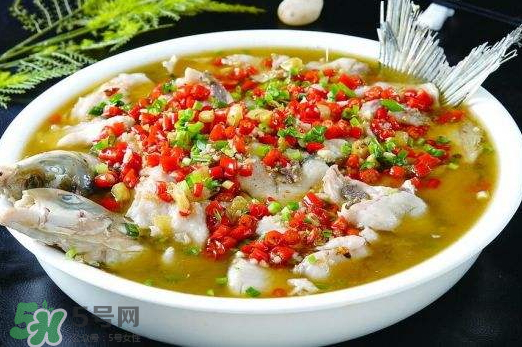 鯉魚可以做水煮魚嗎？水煮鯉魚的做法