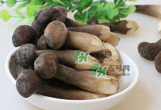 雞樅菌多少錢一斤？干雞樅菌多少錢一斤