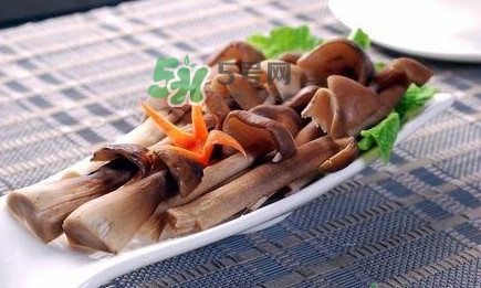 雞樅菌和松茸哪個更好？雞樅菌有什么營養