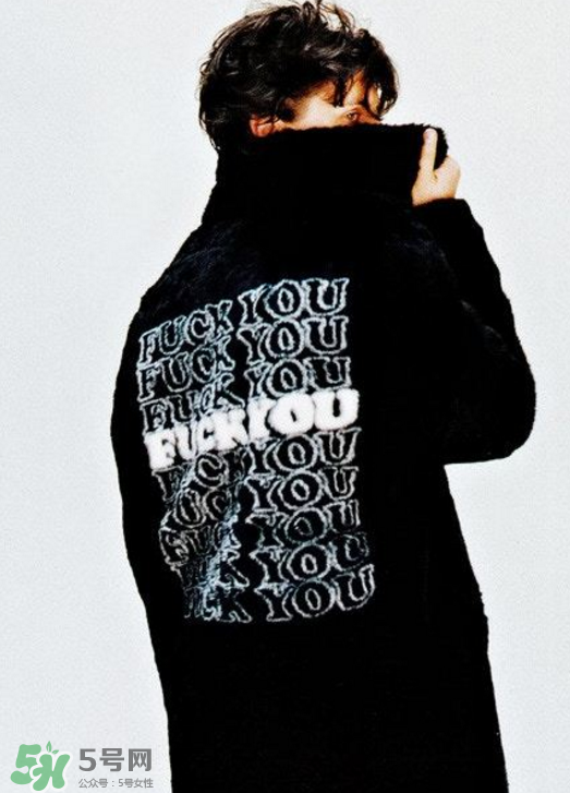 supreme與hysteric glamour2017秋冬聯名怎么樣_好看嗎？