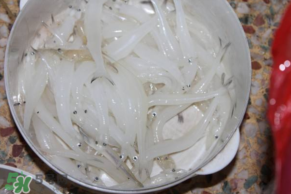 大銀魚多少錢一斤？大銀魚怎么洗？