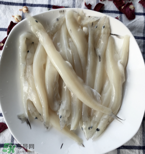 大銀魚多少錢一斤？大銀魚怎么洗？