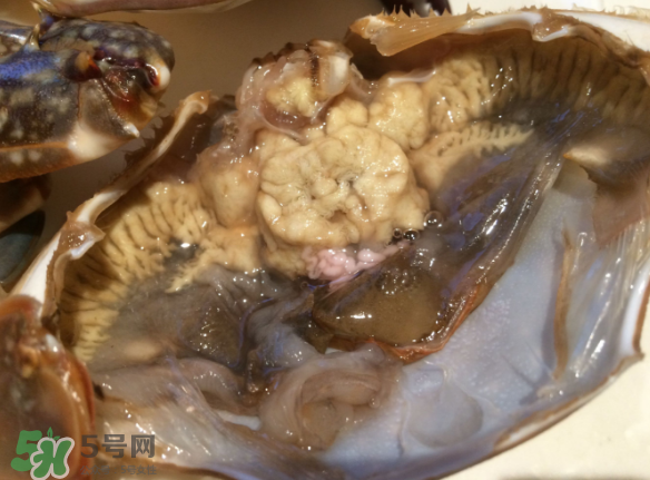 梭子蟹是野生的嗎？梭子蟹養的還是野生的？