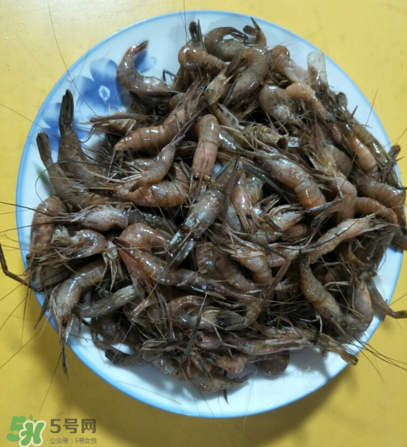 河蝦是發(fā)物嗎？河蝦是不是發(fā)物？
