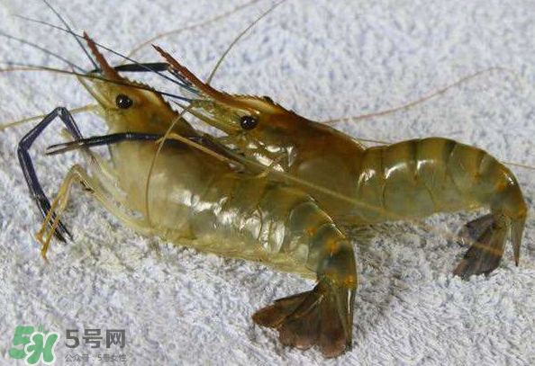 河蝦是酸性還是堿性？河蝦是涼性還是熱性？