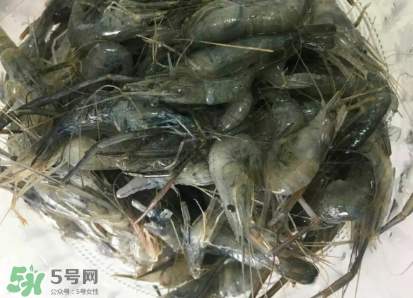 河蝦是基圍蝦嗎？河蝦是辛辣食物嗎？