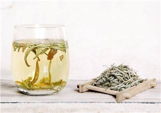白毫銀針屬于綠茶嗎？白毫銀針是什么茶？