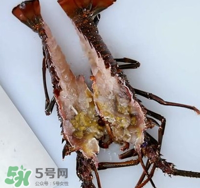 4斤的波士頓龍蝦多少錢？波士頓龍蝦怎么處理