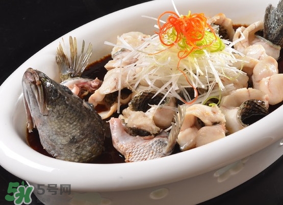 黑魚(yú)怎么殺不滑？黑魚(yú)為什么又被叫做財(cái)魚(yú)