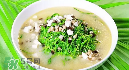 秋季養生吃什么？秋季養生湯推薦