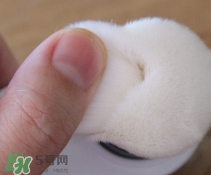 neogen妮珍面膜怎么樣？冷門性價比高的面膜