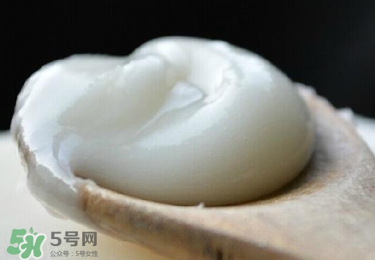 椴樹蜜可以泡檸檬嗎？椴樹蜜放冰箱冷藏好還是冷凍好