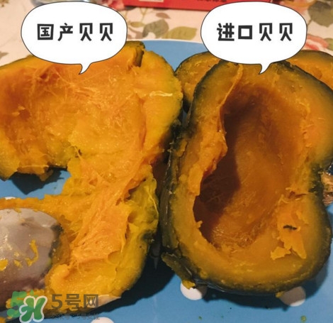 貝貝南瓜怎么挑選？貝貝南瓜有假的嗎