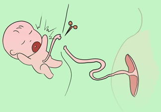 寶寶臍帶什么時(shí)候脫落？寶寶臍帶脫落后怎么護(hù)理？