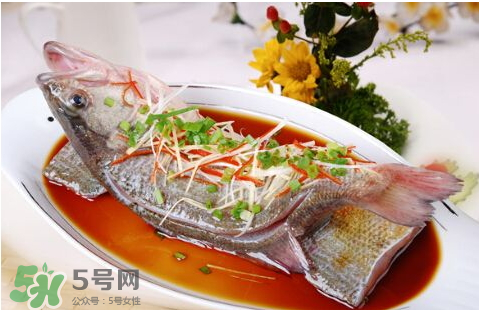 鱸魚為什么沒有刺？鱸魚為什么刺少？