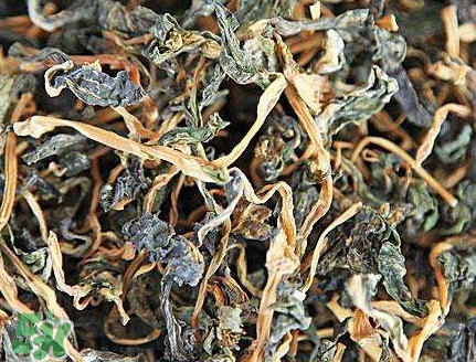 梅干菜是哪里的特產？梅干菜是發物嗎