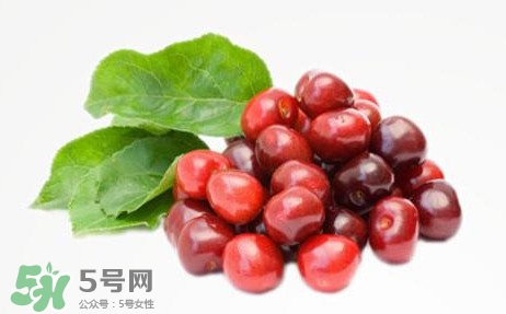 蔓越莓什么時候成熟？蔓越莓什么時候吃最好