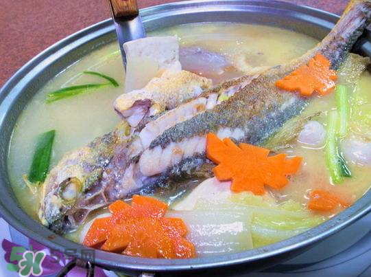黃魚湯怎么做好吃？黃魚湯的營養價值