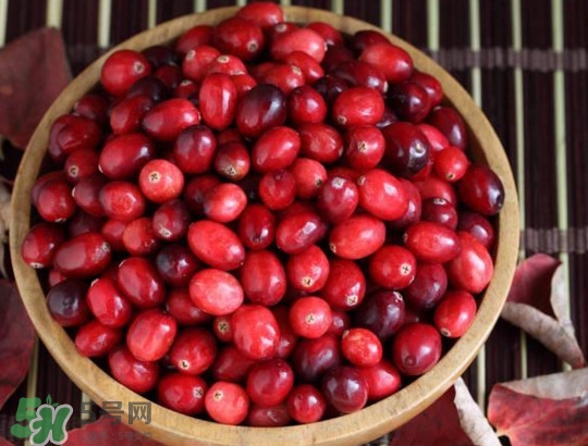 蔓越莓什么時候成熟？蔓越莓什么時候吃最好