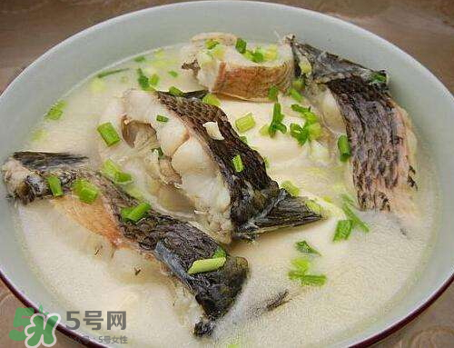黑魚湯對傷口有好處嗎？黑魚湯的做法術后恢復