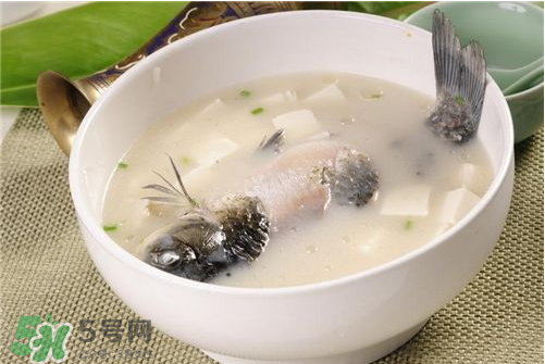 喝鯽魚湯會胖嗎？鯽魚湯可以經(jīng)常喝嗎？