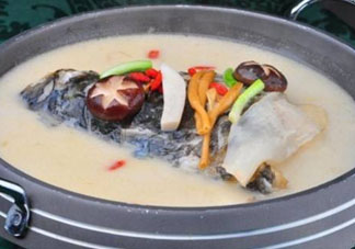 鰱魚湯怎么熬湯？鰱魚湯的功效與作用