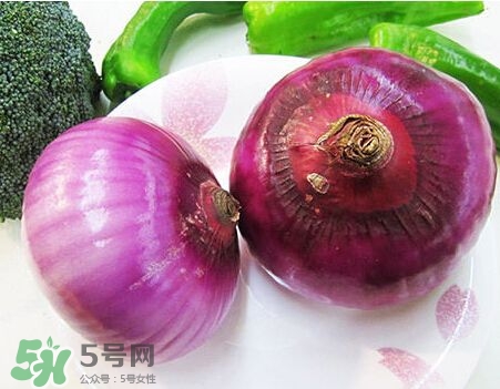 洋蔥狗狗能吃嗎？狗狗吃了洋蔥怎么辦？