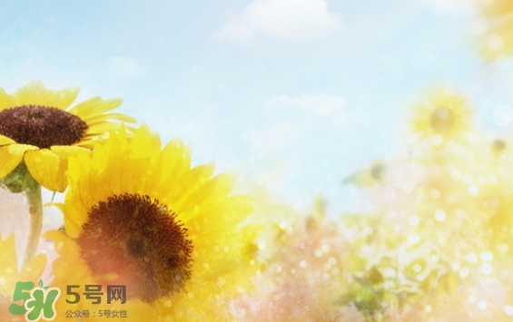 見封滾是什么意思？