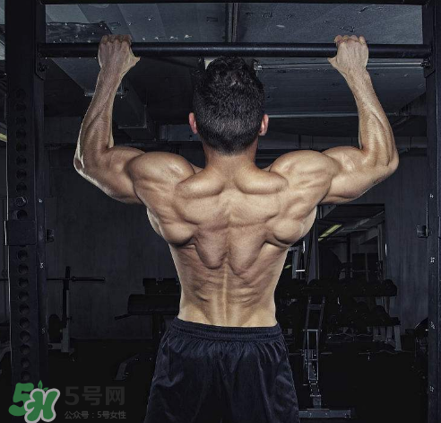 引體向上背部怎么發力？引體向上發力技巧