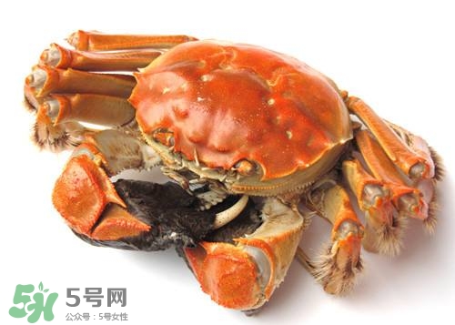 螃蟹里面有寄生蟲(chóng)嗎？螃蟹有寄生蟲(chóng)還可以吃嗎？