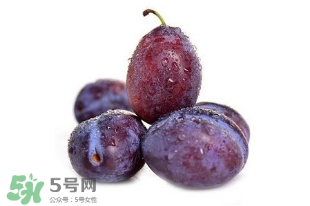 西梅可以放冰箱嗎？西梅放冰箱冷藏還是冷凍？