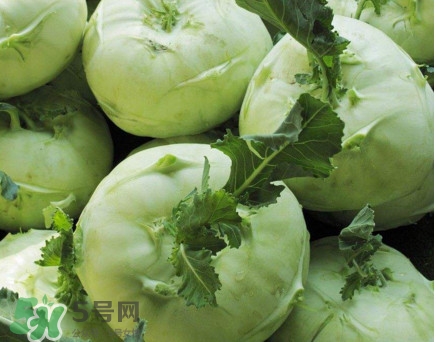 苤藍(lán)什么季節(jié)種植？苤藍(lán)什么時(shí)候采收