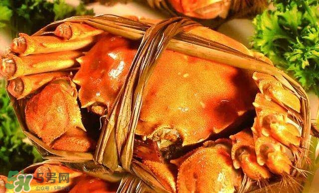螃蟹吃什么食物長(zhǎng)得大？十月份吃什么螃蟹？