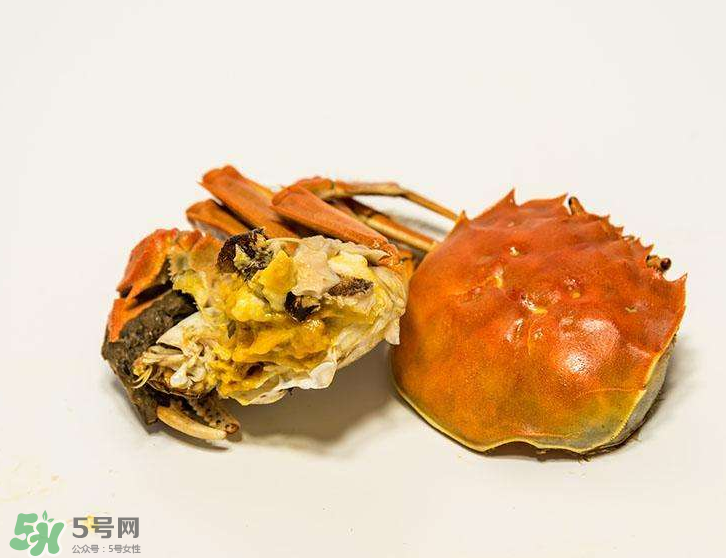 哪種螃蟹有蟹黃？哪種螃蟹蟹黃最多？
