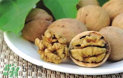 核桃分心木可以煲湯嗎？核桃分心木可以和枸杞泡水嗎？