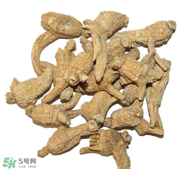 花旗參和西洋參的區別 花旗參好還是西洋參好？