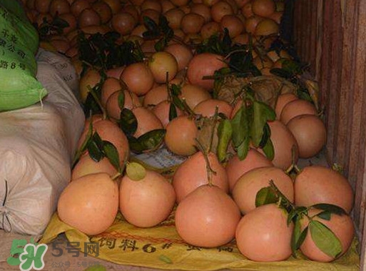 三紅蜜柚怎么儲藏保鮮？三紅蜜柚苗哪里可以買到