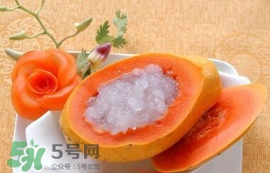 孕婦能吃木瓜燉雪蛤嗎？木瓜燉雪蛤豐胸嗎？
